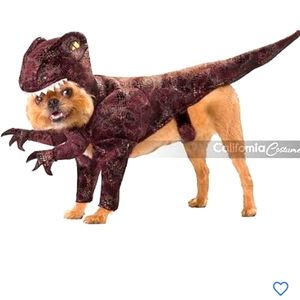 T-Rex Dog Costume